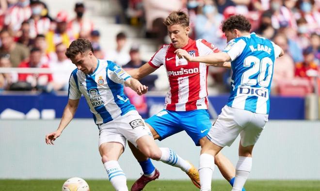 体育课程的 体育课程的