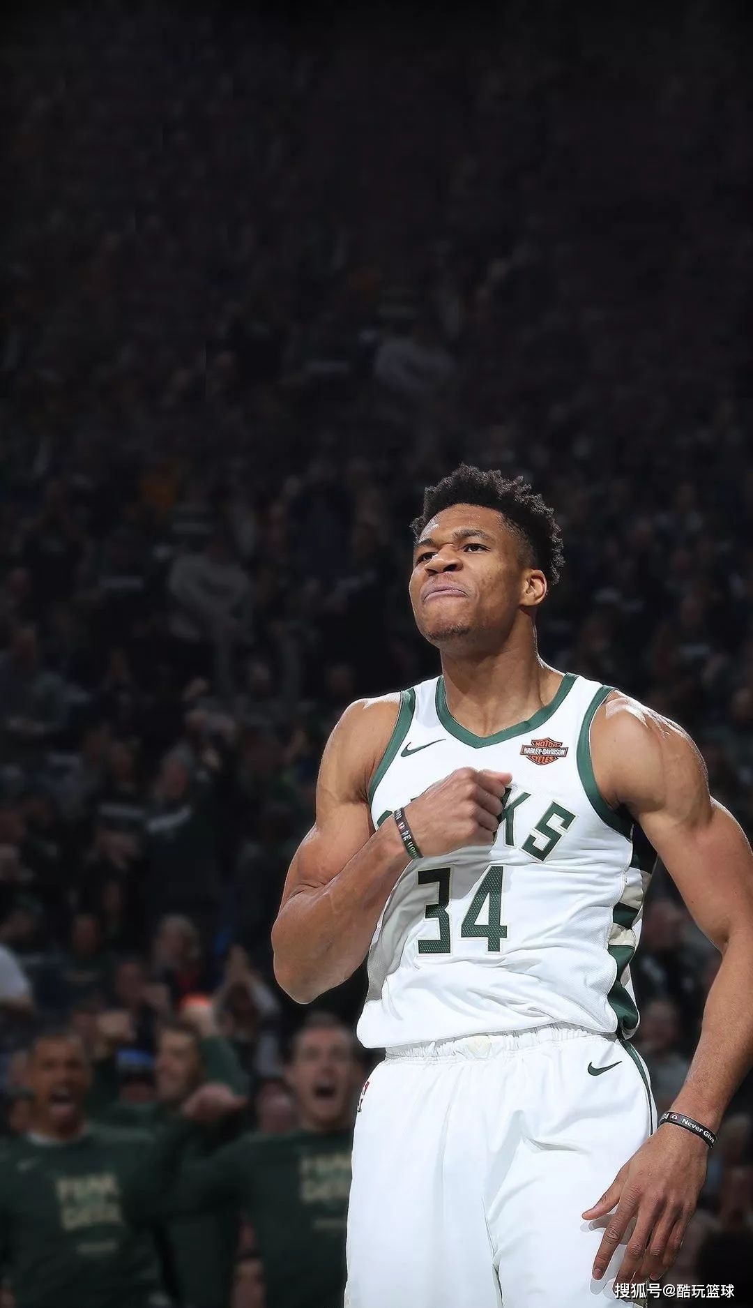 话语就不再 话语就不再